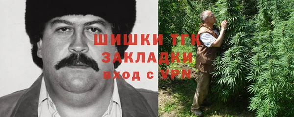 хмурый Алексеевка