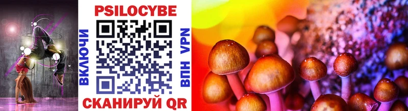 Галлюциногенные грибы Psilocybe  Лабинск 